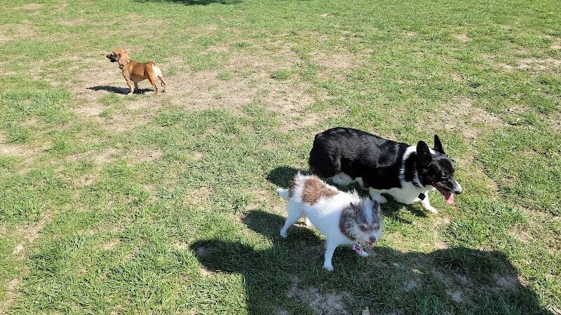 Broemmelsiek Park Off-Leash Dog Area - Defiance, MO