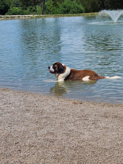 Broemmelsiek Park Off-Leash Dog Area - Defiance, MO