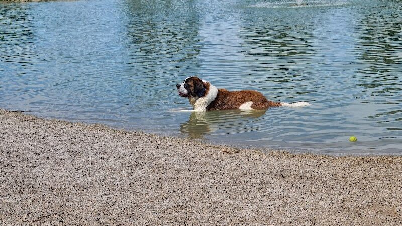 Broemmelsiek Park Off-Leash Dog Area - Defiance, MO