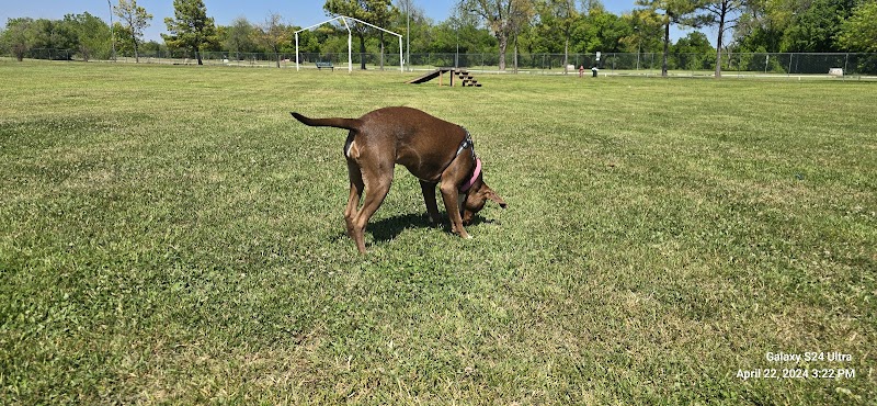 Wiggly Field - Del City, OK