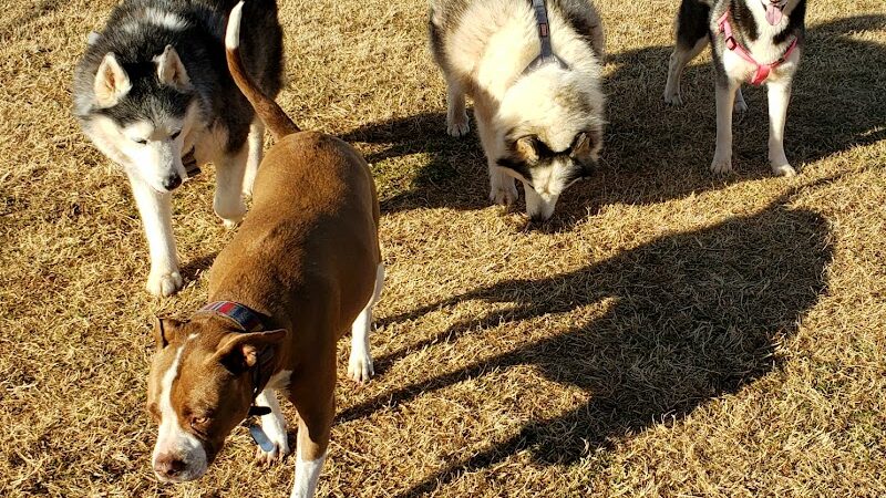 Wiggly Field - Del City, OK