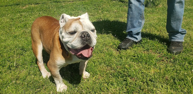 Wiggly Field - Del City, OK