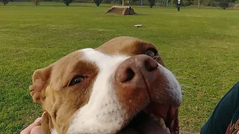 Wiggly Field - Del City, OK