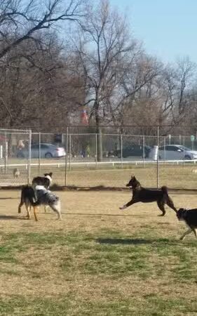 Wiggly Field - Del City, OK