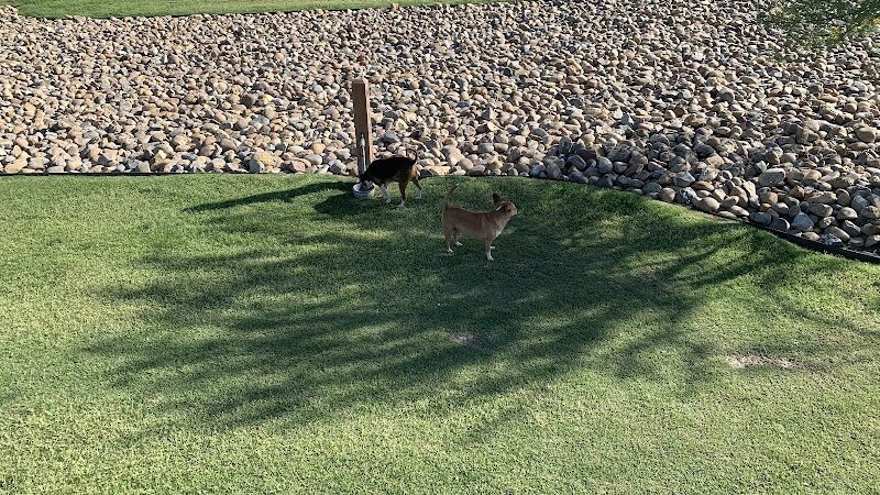 Delano Dog Park - Delano, CA