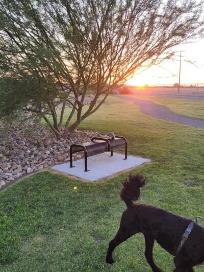 Delano Dog Park - Delano, CA