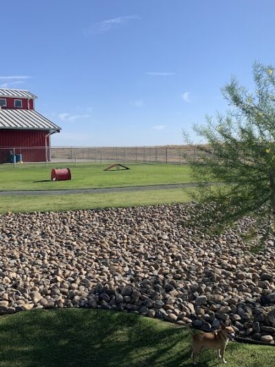 Delano Dog Park - Delano, CA