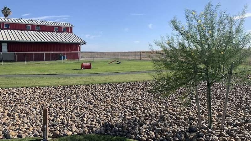 Delano Dog Park - Delano, CA
