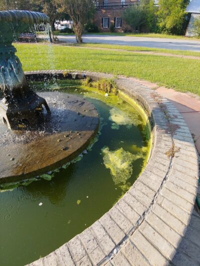 Jim Harrison Square - Denmark, SC