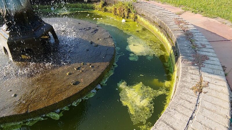 Jim Harrison Square - Denmark, SC