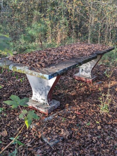 Roadside Park - Denmark, SC