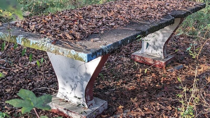 Roadside Park - Denmark, SC