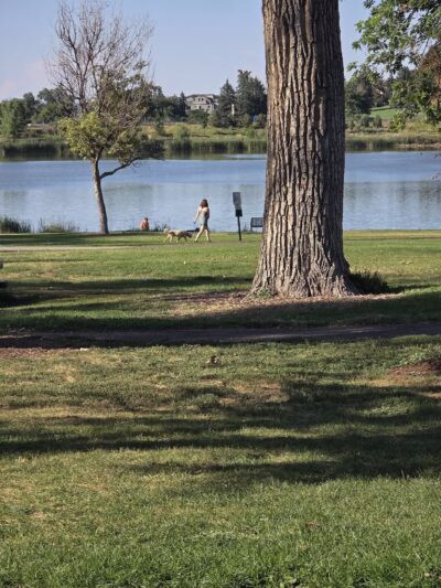 Berkeley Dog Park - Denver, CO
