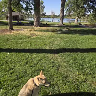 Berkeley Dog Park - Denver, CO
