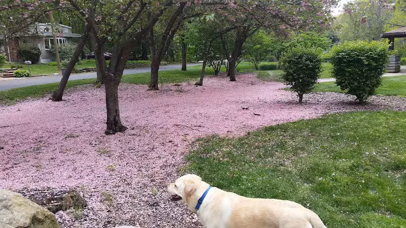 Rainbow Lakes Park - Denville, NJ