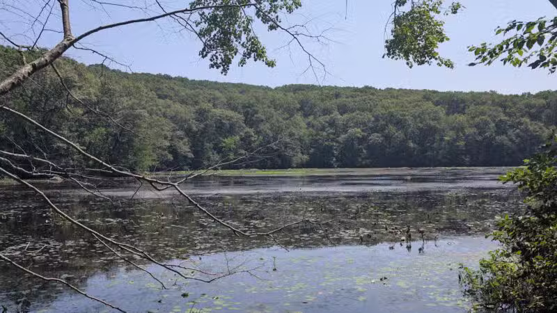 Tourne Park - Denville, NJ