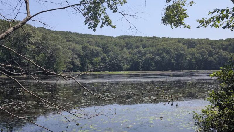 Tourne Park - Denville, NJ