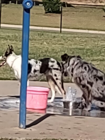 Decarsky Park - Derby, KS