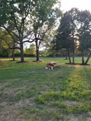 Reno Memorial Dog Park - Des Moines, IA