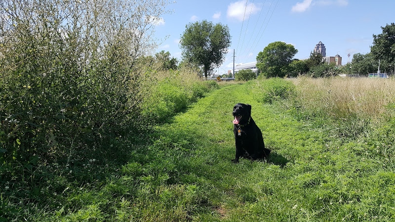 Riverwalk Dog Park - Des Moines, IA