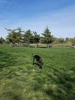 Riverwalk Dog Park - Des Moines, IA