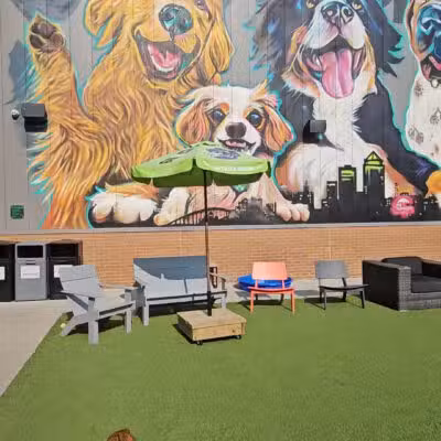 Paws & Pints - Des Moines, IA