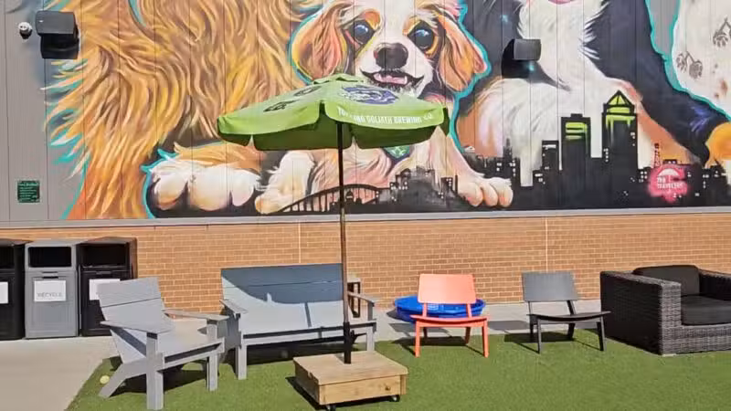 Paws & Pints - Des Moines, IA