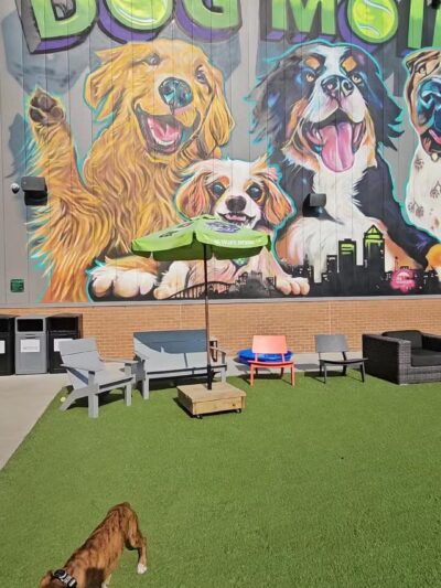 Paws & Pints - Des Moines, IA