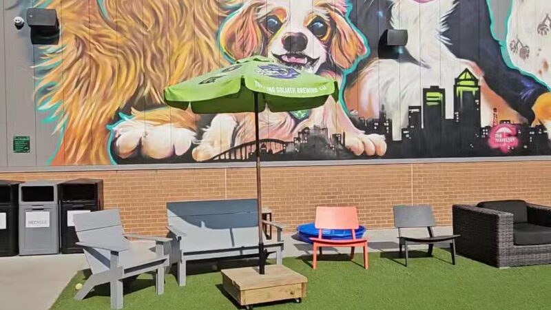 Paws & Pints - Des Moines, IA