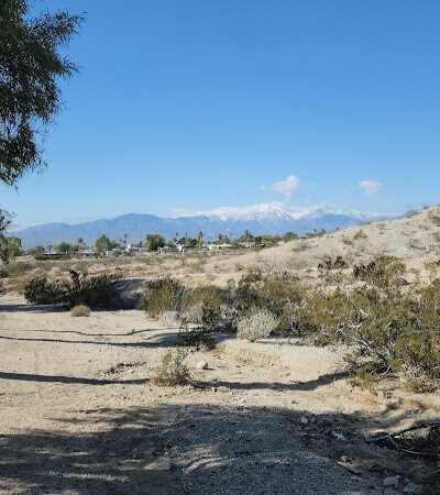 DHS Rotary Dog Park - Desert Hot Springs, CA