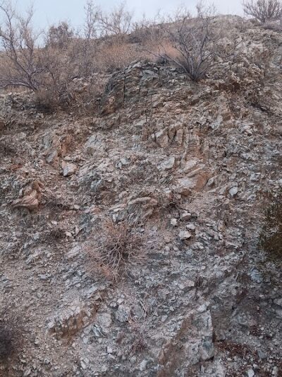 DHS Rotary Dog Park - Desert Hot Springs, CA