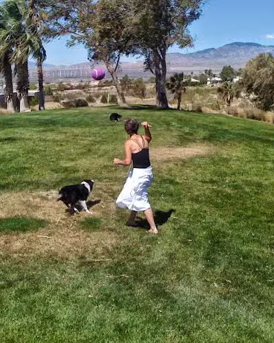 DHS Rotary Dog Park - Desert Hot Springs, CA