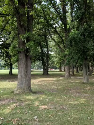 Balduck Park - Detroit,