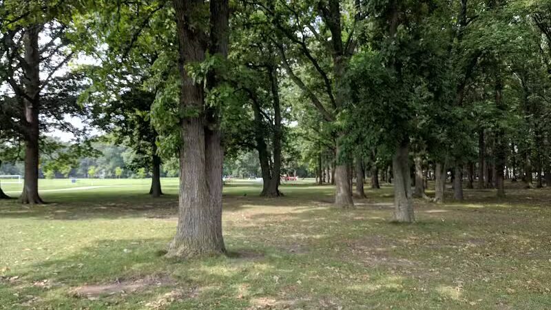 Balduck Park - Detroit,