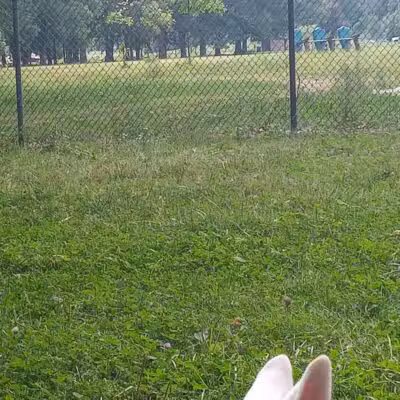 Balduck Park - Detroit,