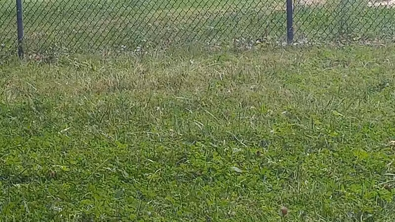 Balduck Park - Detroit,