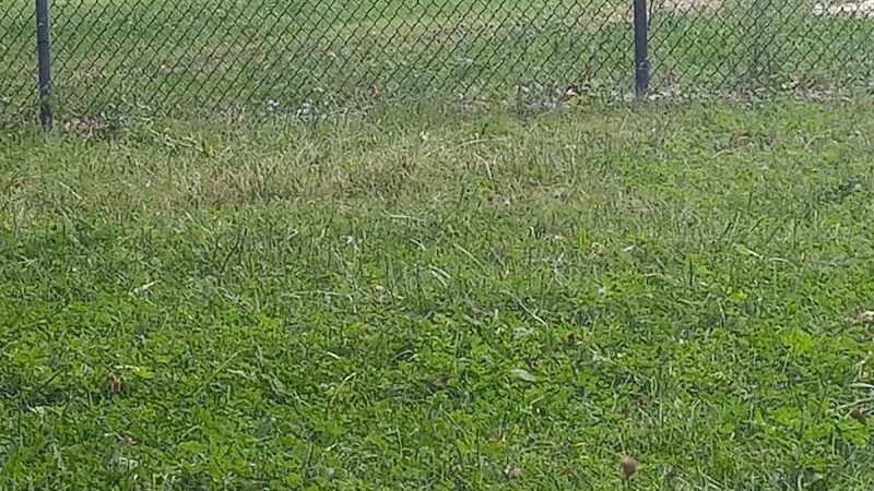 Balduck Park - Detroit,