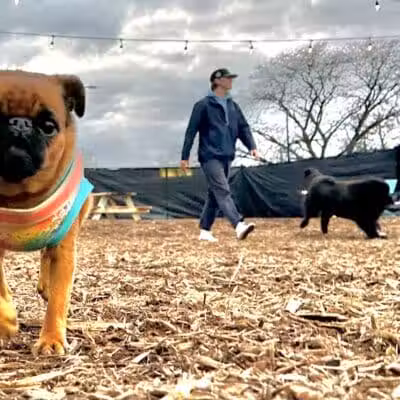 Barkside Detroit - Detroit, MI