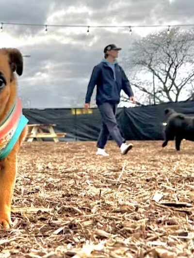 Barkside Detroit - Detroit, MI