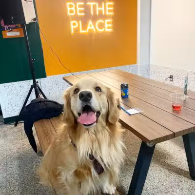 Barkside Detroit - Detroit, MI