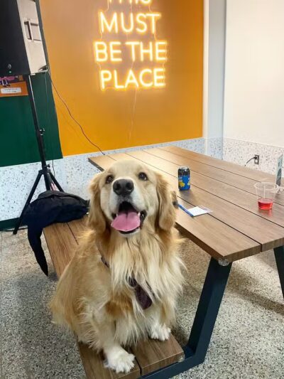 Barkside Detroit - Detroit, MI