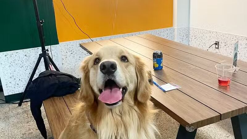 Barkside Detroit - Detroit, MI