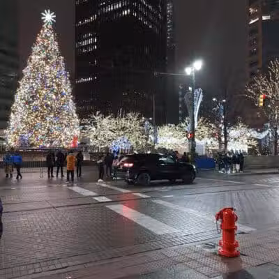 Cadillac Square Dog Park - Detroit,