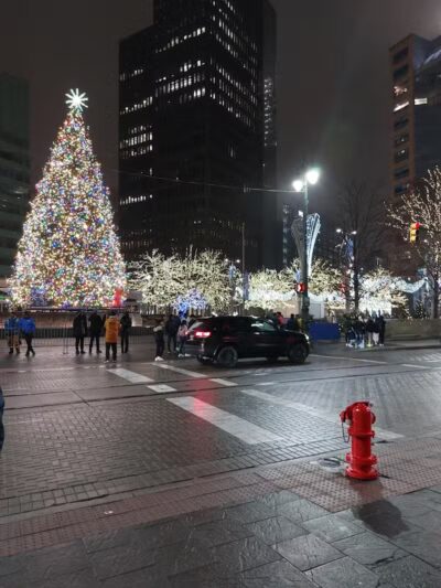 Cadillac Square Dog Park - Detroit,