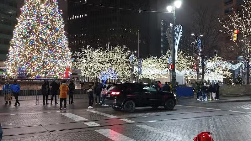 Cadillac Square Dog Park - Detroit,
