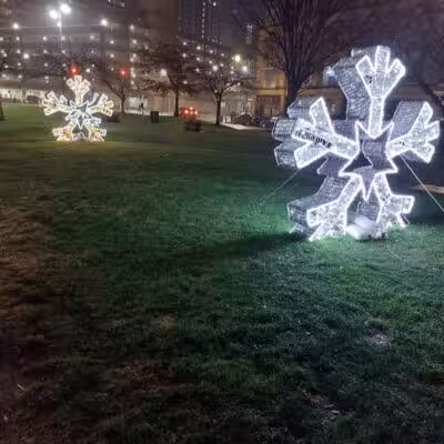Cadillac Square Dog Park - Detroit,