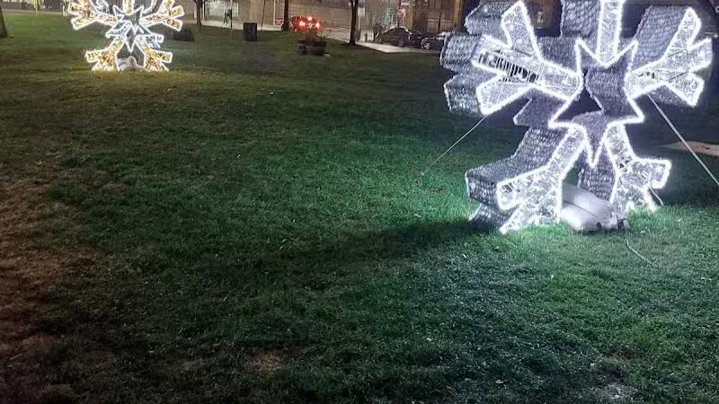 Cadillac Square Dog Park - Detroit,