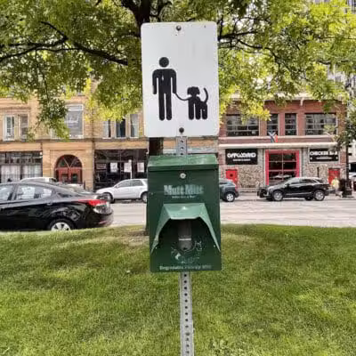 Cadillac Square Dog Park - Detroit,