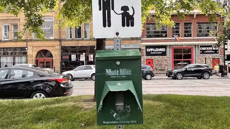 Cadillac Square Dog Park - Detroit,