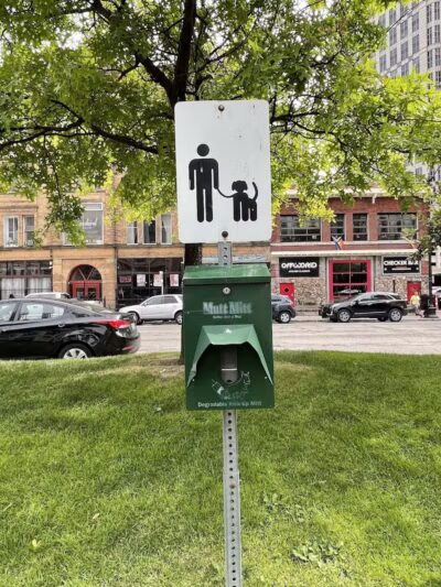 Cadillac Square Dog Park - Detroit,